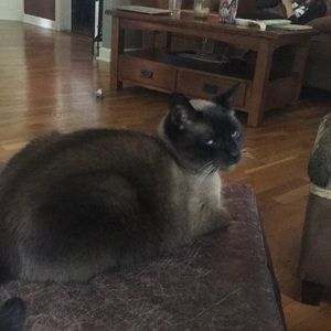 Meet your Posher, Beth